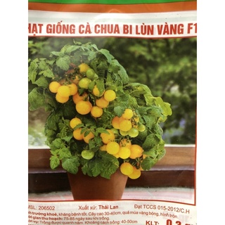 Hạt giống cà chua lùn vàng