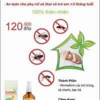 Tinh dầu xịt côn trùng lam hà