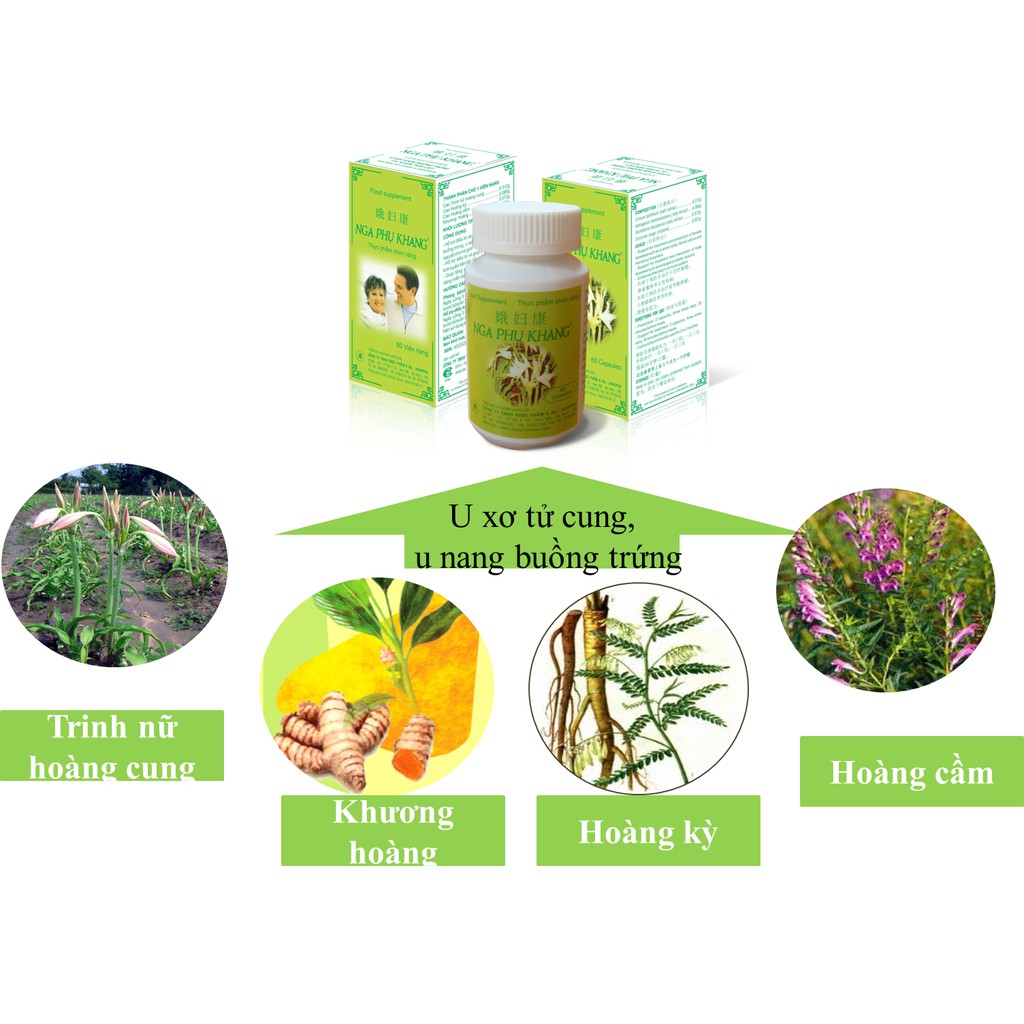 NGA PHỤ KHANG LỌ 60 VIÊN HỖ TRỢ ĐIỀU TRỊ U NANG BUỒNG TRỨNG VÀ U XƠ TỬ CUNG