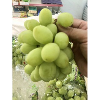 Nho xanh Peru cứng trái ngọt giòn rụm