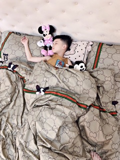Set ga gối 4 món