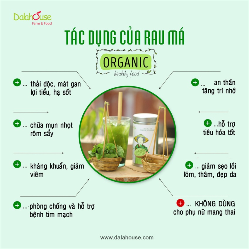 Bột rau má sấy lạnh Dalahouse , sale mạnh nghỉ bán