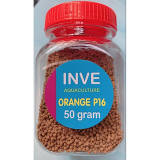 THỨC ĂN CÁM THÁI INVE ORANGE P16 HỦ 50GR