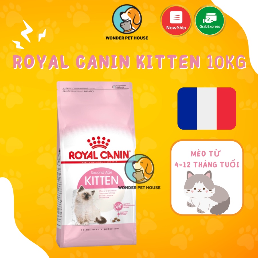 [Bao 10KG] Hạt Royal Canin Kitten Cho Mèo Từ 4-12 Tháng Tuổi