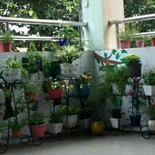 Kệ để cây cảnh bằng sắt 6 tầng