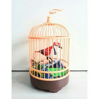 Lồng chim công tác ấn hót