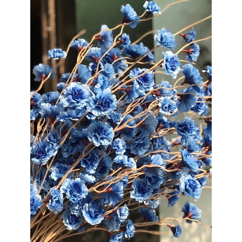 Hoa giả_ Cành Đào Râu _ anh đào 1m trang trí,decor