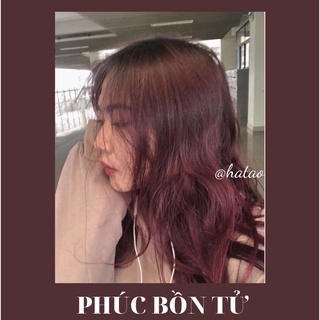 Thuốc Nhuộm Tóc Màu PHÚC BỔN TỬ
