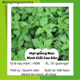 Hạt giống kinh giới rado - gói 1 gram
