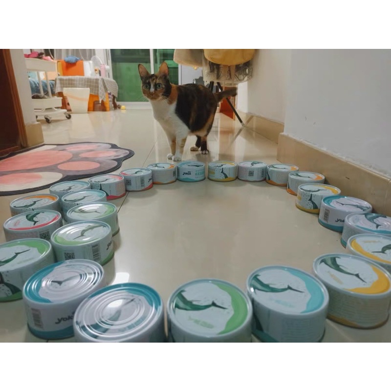 Pate cho mèo YOKEN thùng 12 lon 170g