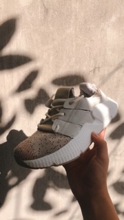 Prophere