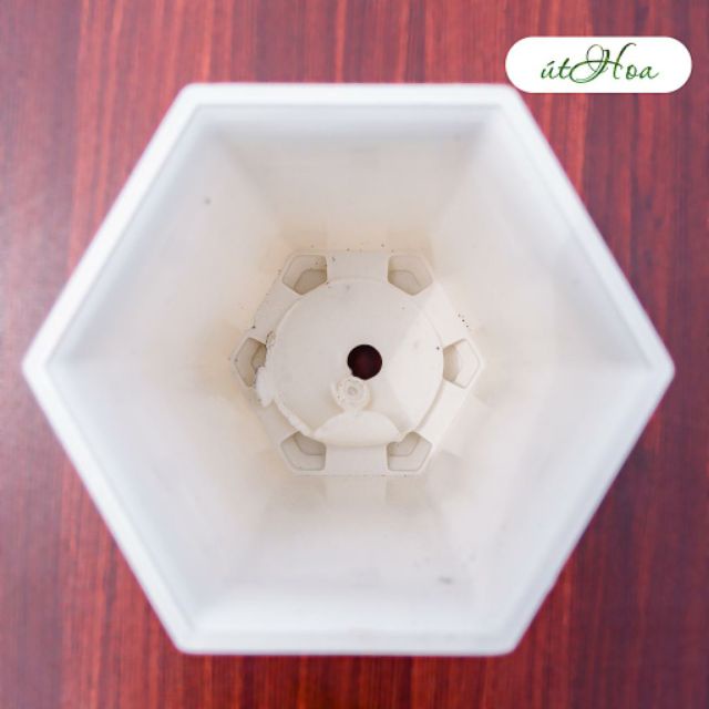 10 Chậu Nhựa Lục Giác Trồng Hoa, Cây Cảnh Bonsai 200x120 - Màu Trắng -Chậu được thiết kế tiện lợi