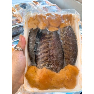 CÁ SẶC TRỨNG 1 NẮNG - vỉ 500g (nowship)