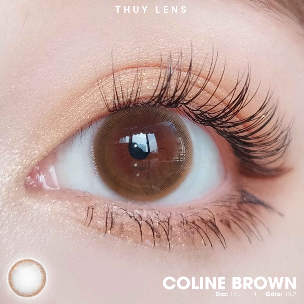 Kính Áp Tròng Nội Địa Hàn Quốc Thúy Lens COLINE BROWN - Lens Mắt Cận Nâu 14,0mm