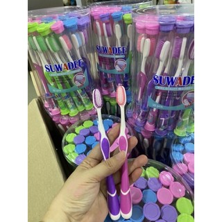 COMBOM 2 CÂY BÀN CHẢI LÔNG MỀM