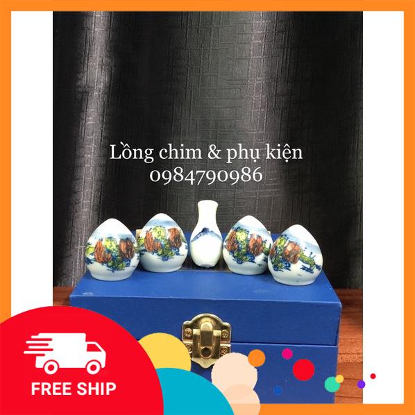 Cóng chim khuyên  hàng chất lượng, giá hợp lý