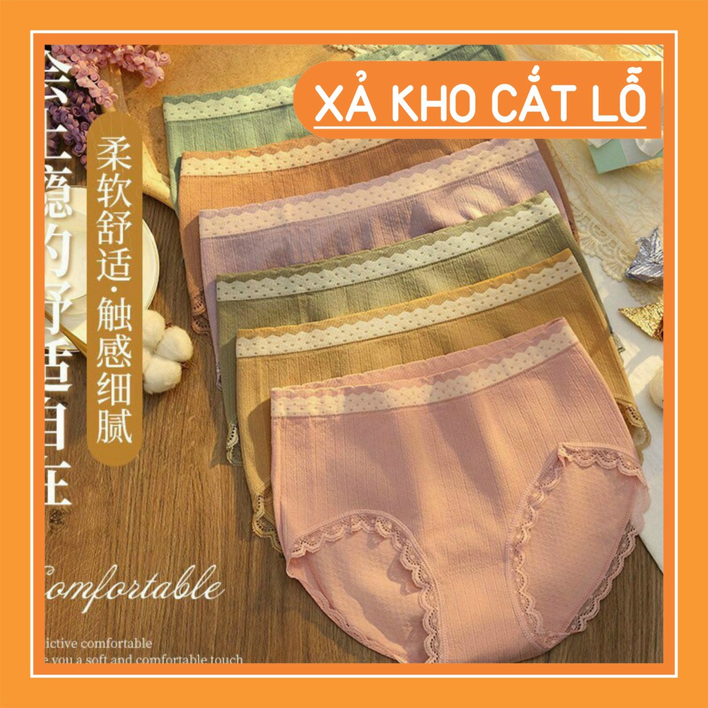 Quần Lót Cotton Thấm Hút Siêu Xinh Rẻ Nhất Thị Trường - Quần Chip Nữ Giá Rẻ