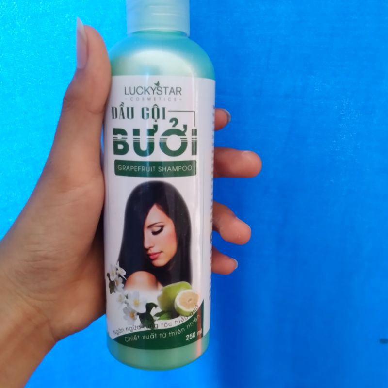 Dầu gội bưởi Lucky Star 250ml | BigBuy360 - bigbuy360.vn