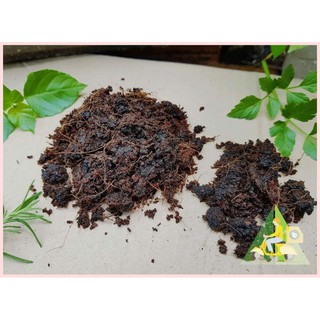 Đất Sạch - Giá Thể Trồng Cây Rau Màu Gói 7kg