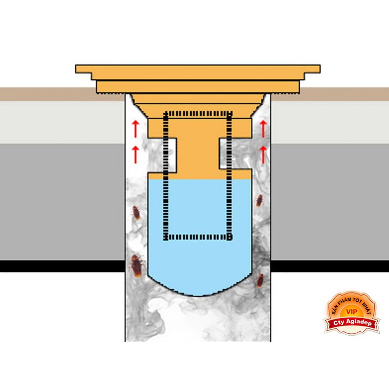 Phễu thoát sàn ngăn mùi Tân cổ điển - Hàng Siêu Cao cấp ITALIA 10x10cm Màu vàng