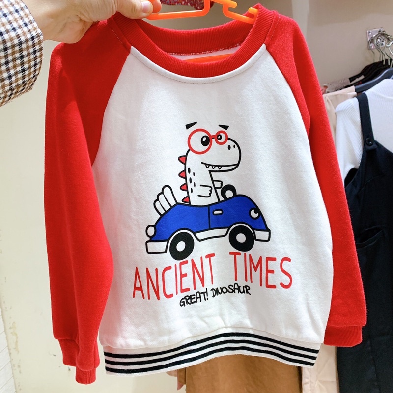 áo nỉ xuất xịn nhiều mẫu