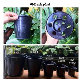 Chậu nhựa cứng trồng cây SIÊU XỊN SÒ TKC màu đen kích thước 11x12 cho kiểng lá, sen đá, xương rồng