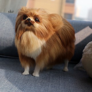 Mô hình chó Pomeranian sinh động dùng chụp hình