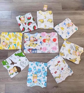 Sỉ cotton giấy