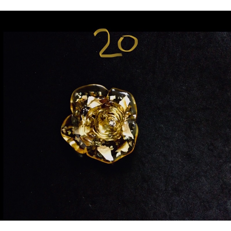 Cài áo nhựa đẹp