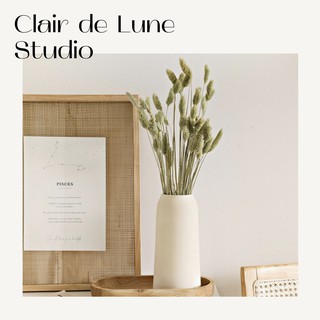 FREE SHIP🌸Hoa khô 🌸Phalaris vintage, phụ kiện chụp ảnh sản phẩm