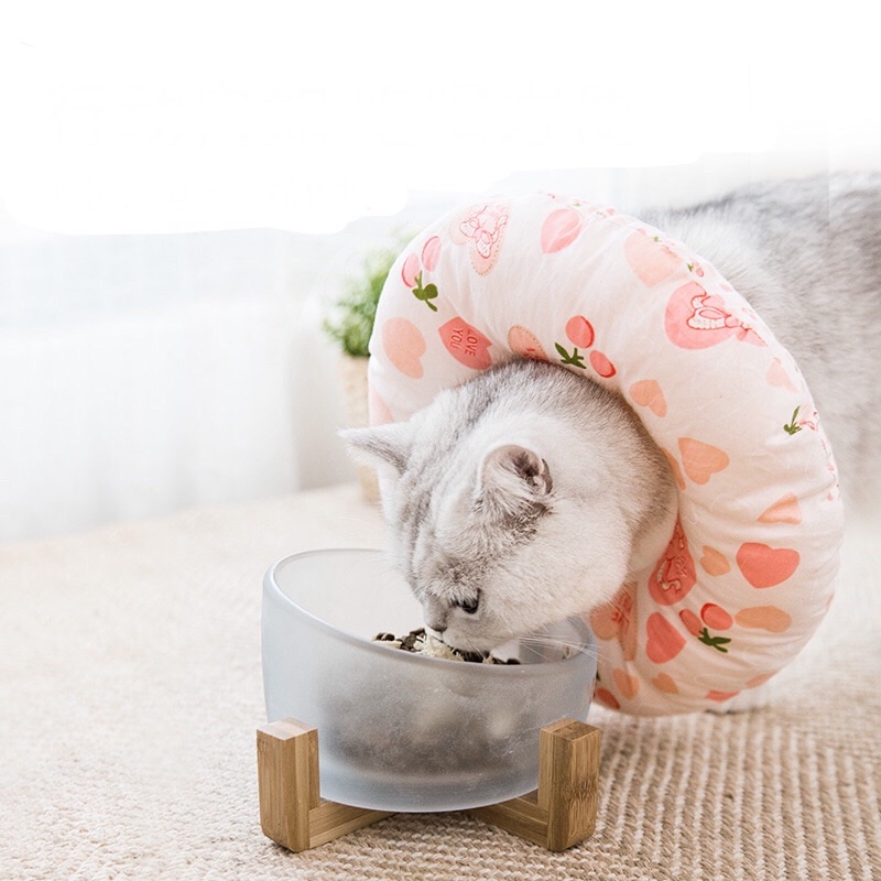 Vòng cổ chống liếm cho chó mèo