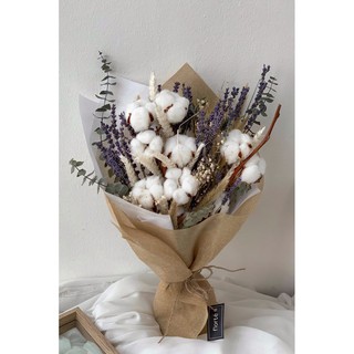🌸Loại đẹp🌸 Cành BÔNG GÒN decor chụp ảnh, trang trí nhà cửa, phòng ngủ phòng cách vintage