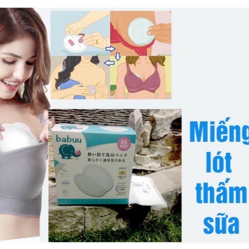 Miếng/tấm lót thấm sữa (hộp 24 miếng và 108 miếng)