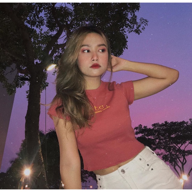 Croptop Etc