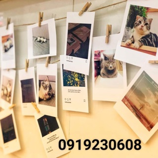 Combo In Ảnh 6x9 Tặng Kẹp Và Dây Treo