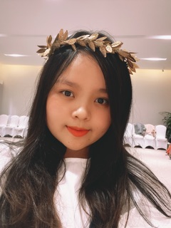 Combo 10 vòng nguyệt quế lá dài