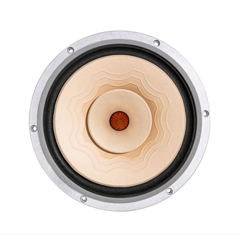 Toàn dải Lii bass 25cm Silver_10 .Giá bán theo cặp,