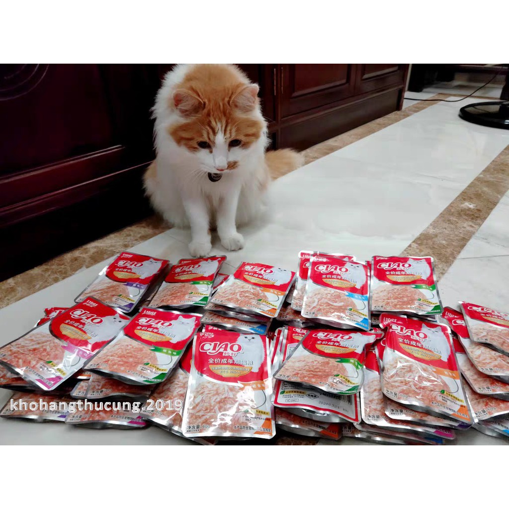 Pate CIAO- cá tươi dinh dưỡng cho mèo kích thích ăn uống- gói 60g
