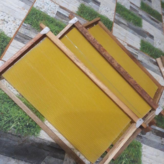 Combo 6 khung cầu ong mật (ong ý)