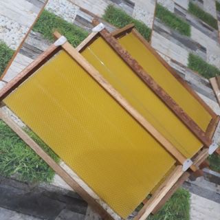 Combo 6 khung cầu ong mật