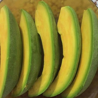 CÂY GIỐNG BƠ RUỘT ĐỎ