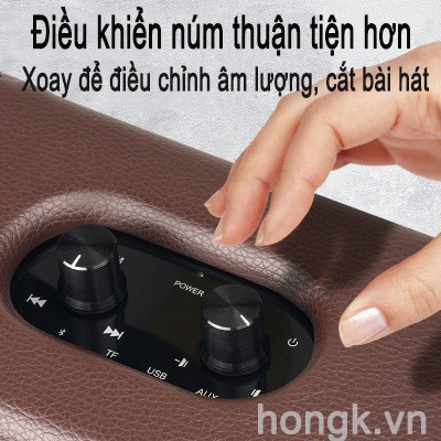 Loa Bluetooth D30 HIFI Công Suất Cao Vỏ Màu Gỗ Phong Cách Retro Chất Lượng Cao