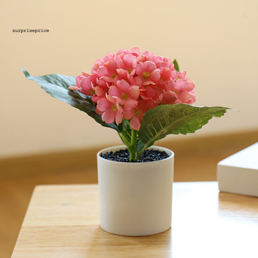 Chậu Cây Bonsai Nhân Tạo Chống Mòn Tiết Kiệm Không Gian Cho Khách Sạn / Bàn Làm Việc