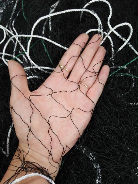 LƯỚI ÚP C-U GÁY 2 cánh.5,5x1,5m - Dài 6,5m cao1,7m