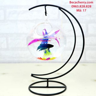 Bể cá mini cung trăng 17 ( tặng kèm phụ kiện trang trí )