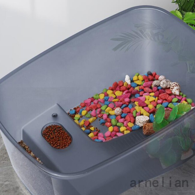 Bể Nuôi Rùa Bằng Nhựa Tiện Dụng