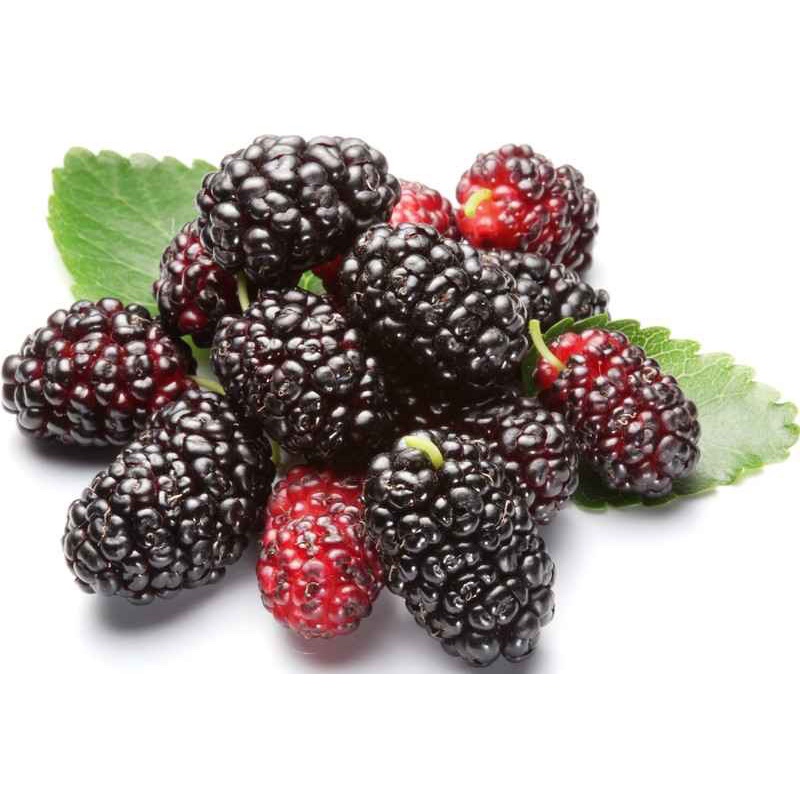 Siro dâu tằm ngâm đường chua ngọt hủ 1kg