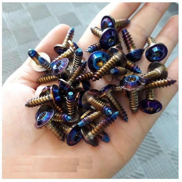 Bộ 2 ốc vít xoắn gắn dàn áo xe máy (5x15mm) (Mã Pro1)