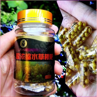 Phân nhét thủy sinh - bổ sung dinh dưỡng cho cây phát triển, phân thủy sinh