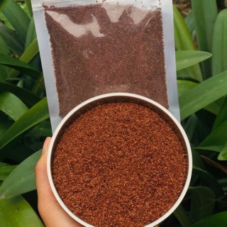 250gr hạt ngũ hoa